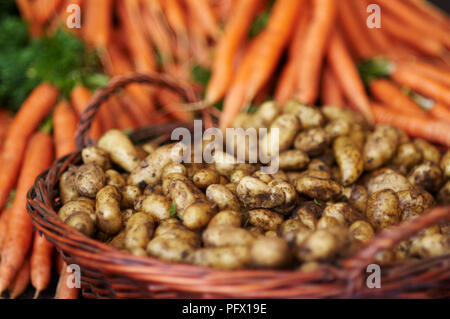 Bunches of organic potatoes and carrots at a market. Stock Photo