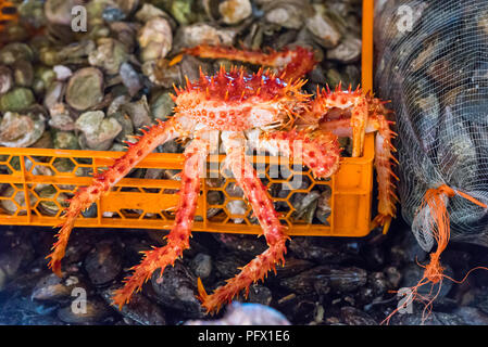 Huge crab in the city market, Puerto Montt, Chile. Close-up Stock Photo