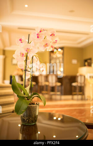 Beautiful flowers in luxury five star hotel wedding marriage party before guests arrive. Stock Photo