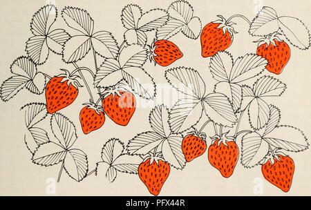 . Culture du fraisier dans l'est du Canada. Fraises; Strawberries. Il faut entreprendre l'irrigation avant que les plantes commencent Ã se faner. L'analyse du sol est la mÃ©thode la plus facile pour dÃ©terminer les besoins en eau. Etant donnÃ© que la quantitÃ© d'eau assimilable dans le sol doit Ãªtre de plus de 50% pour une croissance soutenue, il faut commen- cer l'irrigation avant d'arriver Ã ce niveau. Le tableau 1 sert de guide pour dÃ©terminer les niveaux d'humiditÃ© du sol. Les donnÃ©es sont fondÃ©es sur la texture du sol lorsqu'il est serrÃ© en boule. Si l'Ã©chantillon de sol prÃ©levÃ©  Stock Photo