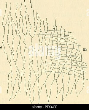 This histology textbook provides an introduction to the study of ...