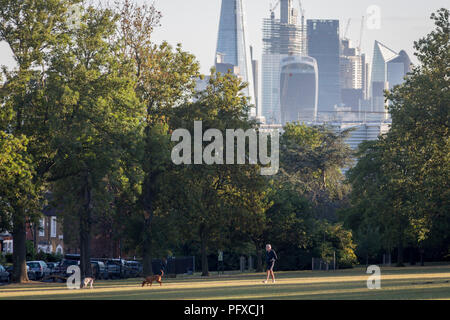With the skyline of the capital's financial district, the City of London in the distance, man and his dogs walk in Ruskin Park, on 10th August 2018, in London, England. Stock Photo