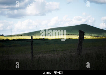 A pool of light highlighting a field of canola in a tranquil hillside, farmland landscape Stock Photo