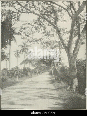 . The Cuba review. Cuba -- Periodicals. 14 THE CUBA REVIEW. Road in Guines, near Matanzas. and also on sugar plantations. The natural slowness of the cart traffic is further impeded in the cities by the narrowness of streets, and the economy of time in the use of motor trucks has been demonstrated under the pressure of war demands for Cuban products. In the country the trucks are used for transporting manu- factured supplies and foodstuffs into the interior, and native products to the cities. While the railway transportation of Cuba has been much improved in recent years, there being now about