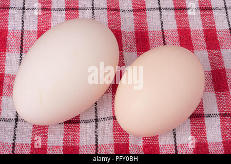 Two goose eggs on a checkered background Stock Photo