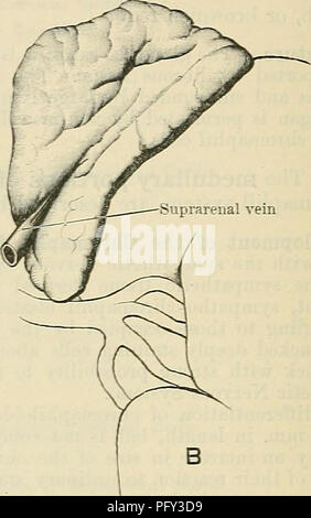 This anatomy textbook by Cunningham provides in-depth coverage of the ...
