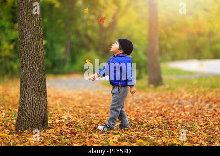 Boy catches yellow maple leaf falling from a tree. Autumn./Leaves fall ...