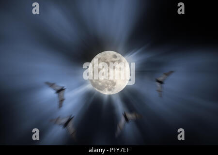Photo composition with full moon at night, bats in flight and light beams (added some digital noise)