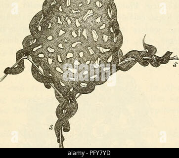 This histology textbook provides an introduction to the study of ...