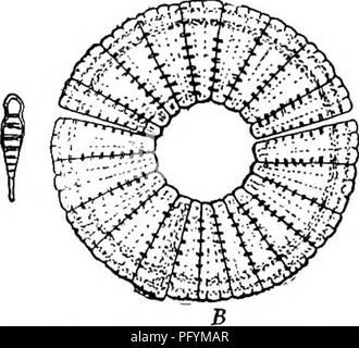 Fresh-water biology. Freshwater biology. S4 (so) Valves