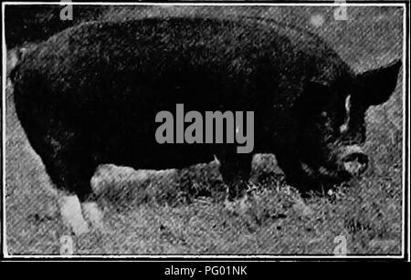 Ham hock Black and White Stock Photos & Images - Alamy