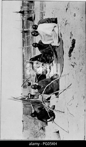 . From the Niger to the Nile. Alexander-Gosling Expedition; Birds. Q. Please note that these images are extracted from scanned page images that may have been digitally enhanced for readability - coloration and appearance of these illustrations may not perfectly resemble the original work.. Alexander, Boyd, 1873-1910; Talbot, Percy Amaury, 1877-1945. London, E. Arnold Stock Photo