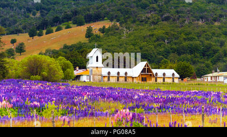 View of the wooden church and a field of blooming Lupinus in the national park Torres del Paine, Patagonia, Chile. With selective focus Stock Photo