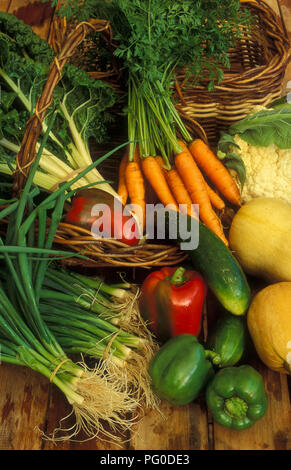HARVESTED ASSORTED FRESH VEGETABLES ON WOODEN TABLE (SPRING ONIONS, CAULIFLOWER, CARROTS, RED CAPSICUMS, CUCUMBER AND SPINACH. Stock Photo