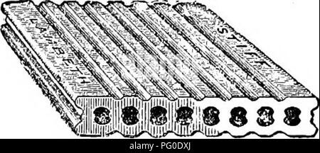 . A manual of veterinary hygiene. Veterinary hygiene. HABITATIONS 277 those from loam or sandy clay, and those from marl or lime clay. Fire bricks are made from clay containing neither lime nor magnesia. The colour of a brick depends upon the degree to which it is burned, and the amount of iron and lime it contains. Its average size is 9 inches long, by 4| inches broad, and 2 inches thick. Its average weight is 5 lbs., and it can hold about sixteen ounces of water: it is therefore very porous. The thickness of a wall is described as consisting of so many bricks, for example a one brick wall is Stock Photo
