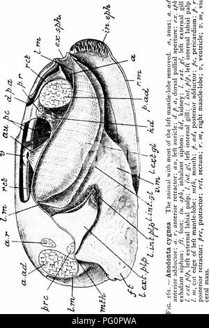 This zoology manual provides a detailed look at the anatomy of insects ...