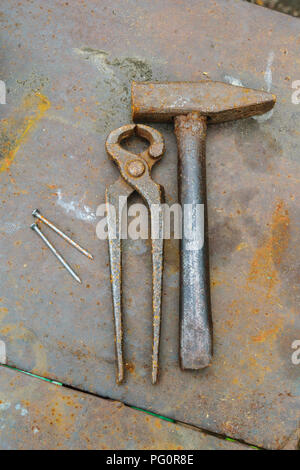 rusty old hammer, pliers and nails Stock Photo