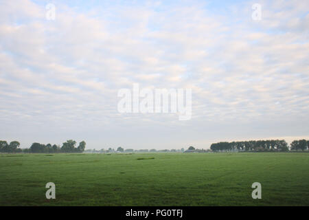 View over a green field with a blue sky filled with puffy clouds. Stock Photo