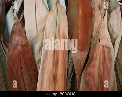 background of colorful dried bamboo leaves Stock Photo