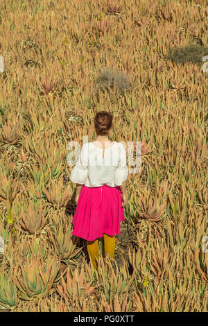 Woman turning her back in aloe vera Field in Fuerteventura, Canary Islands, Spain. Stock Photo