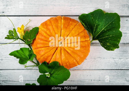 autumn harvest - pumpkin on white wooden background Stock Photo
