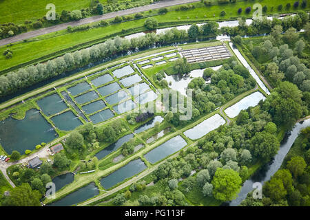 Fish farm in Kennet valley Stock Photo
