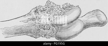 Florists' review [microform]. Floriculture. The recosrtiized