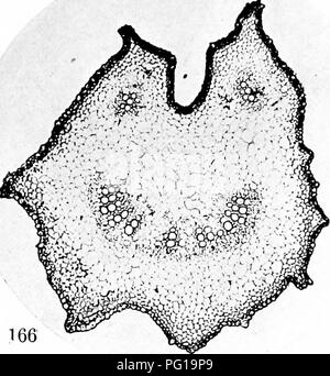 This study explores the biochemistry behind plant taxonomy, heredity ...