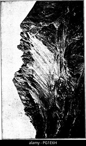 . Soils and plant life as related to agriculture . Agriculture; Soils; Plants. SOILS AND PLANT LIFE. Please note that these images are extracted from scanned page images that may have been digitally enhanced for readability - coloration and appearance of these illustrations may not perfectly resemble the original work.. Cunningham, Jules Cool, 1879-; Lancelot, William Henry, 1874-. New York : Macmillan Stock Photo