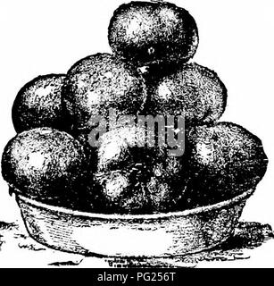 Manual Of Gardening A Practical Guide To The Making Of Home Grounds And The Manual Of Gardening A Practical Guide To The Making Of Home Grounds And The