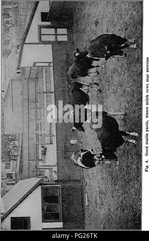 . The diseases of animals; a book of brief and popular advice on the care and the common ailments of farm animals. Veterinary medicine; Domestic animals. . Please note that these images are extracted from scanned page images that may have been digitally enhanced for readability - coloration and appearance of these illustrations may not perfectly resemble the original work.. Mayo, Nelson Slater, 1866-. New York, Macmillan; London, Macmillan Stock Photo