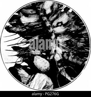 There are many small and large holes in heavy dark gray stone that