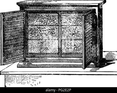 . A manual of bee-keeping. Bees. I04 A MANUAL OF BEE-KEEPING. of the hive, as a whole, so well, that but little description is required. The two wings can be cut off from the main body by perforated zinc or diaphragm, or can be used with either frames or sectional supers in conjunction with the breeding compartment. The top, with its two wings, are for sectional supers, any or all of which can be brought into use as required. The hive is glazed all round, which hinged shutters cover. A very fair view can at all times be obtained of the interior. Hives on the collateral principle seem to have f Stock Photo