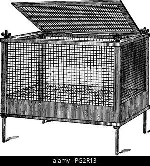 . Laboratory work in bacteriology. Bacteriology. 274 BACTEEIOIiOGY. The inoculated animals should be kept in glass jars, or in wire cages which can be readily sterilized. It is undesir- able and not safe to keep such animals in wooden boxes. White mice or rats can be kept in battery jars. These should be provided with a wire-gauze top, loaded down with a mass of lead. Fig. 46 shows such a jar and also the cru- cible or rat forceps ordinarily used. Rabbits, guinea-pigs, etc., can be kept in wire cages similar to the one shown in Fig. 47. By removing the four thumb-screws on the upper. Fig. 47.  Stock Photo