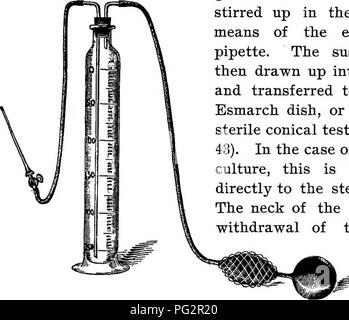 . Laboratory work in bacteriology. Bacteriology. 264 BACTERIOLOGY. Fig-. 42 is made use of. This apparatus can be readily im- provised out of an ordinary 250 c.c. measuring cylinder. Usually, bouillon cultures are employed for the pur- pose of injection. Occasionally, however, the bacterial growth is on a solid medium, like agar or potato. In that case, bouillon or sterile water should be introduced into the tube by means of a drawn out tube pipette (Fig. 61). The growth is then thoroughly stirred up in the liquid by means of the end of the pipette. The suspension is then drawn up into the tub Stock Photo
