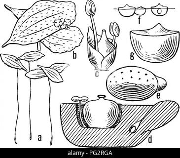 This work explores the principles of heredity and evolution as applied ...
