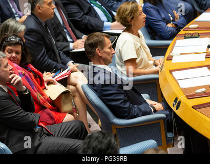 New York, United States. 23rd Aug, 2018. New York, NY - August 23, 2018: President of SC Jeremy Hunt attends at UN Security Council meeting on Threats to international peace and security caused by terrorist acts in UN Headquarters Credit: lev radin/Alamy Live News Stock Photo