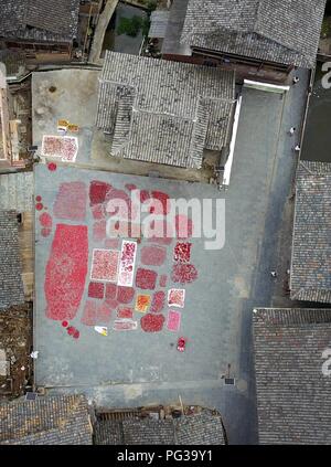 Congjiang, Congjiang, China. 24th Aug, 2018. Congjiang, CHINA-Local villagers air the harvested red pepper at Zengchong Dong Village in Congjiang, southwest China's Guizhou Province. Credit: SIPA Asia/ZUMA Wire/Alamy Live News Stock Photo