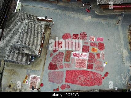 Congjiang, Congjiang, China. 24th Aug, 2018. Congjiang, CHINA-Local villagers air the harvested red pepper at Zengchong Dong Village in Congjiang, southwest China's Guizhou Province. Credit: SIPA Asia/ZUMA Wire/Alamy Live News Stock Photo