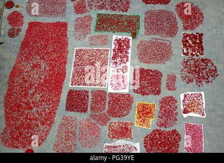 Congjiang, Congjiang, China. 24th Aug, 2018. Congjiang, CHINA-Local villagers air the harvested red pepper at Zengchong Dong Village in Congjiang, southwest China's Guizhou Province. Credit: SIPA Asia/ZUMA Wire/Alamy Live News Stock Photo