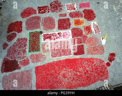 Congjiang, Congjiang, China. 24th Aug, 2018. Congjiang, CHINA-Local villagers air the harvested red pepper at Zengchong Dong Village in Congjiang, southwest China's Guizhou Province. Credit: SIPA Asia/ZUMA Wire/Alamy Live News Stock Photo