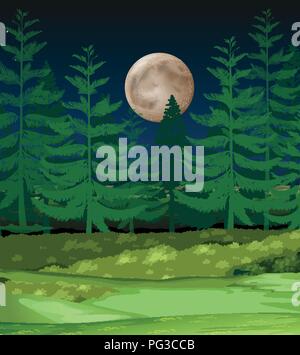 A forest at night illustration Stock Vector