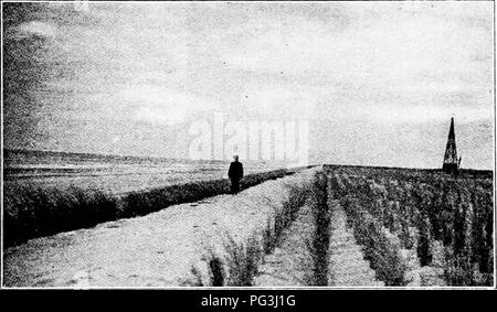 . Impressions of European forestry : letters written during a six months' visit to England and to the continent . Forests and forestry. and reboisement occupy a large share of the attention of the foresters. An interesting ex- ample of the necessity of building barrages and side walls even on the portion of a tor- rential stream where the gradient has become relatively gentle, is to be seen just outside of Interlaken, where before the correction work was undertaken much damage resulted in time of flood to valuable meadow land, of which Switzerland has at best all too little. As the methods fol Stock Photo