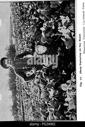 . Soiling crops and the silo; how to cultivate and harvest the crops; how to build and fill the silo; and how to use silage. Silage; Sustainable agriculture. Digitized by Microsoft®. Please note that these images are extracted from scanned page images that may have been digitally enhanced for readability - coloration and appearance of these illustrations may not perfectly resemble the original work.. Shaw, Thomas, 1843-1918. New York, Orange Judd company Stock Photo