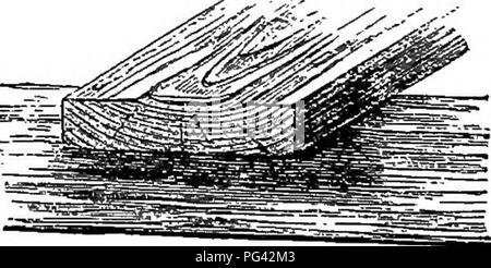 . The elements of forestry : designed to afford information concerning the planting and care of forest trees for ornament or profit and giving suggestions upon the creation and care of woodlands with the view of securing the greatest benefit for the longest time, particularly adapted to the wants and conditions of the United States. Forests and forestry. 142 Seasoning of Wood: Strength of Timber. 574. Wood cut in planes radiating from the center can not warp. "When sawn into this form, there is a waste from a feather-edge on one side, and from extra thickness on the other, but the silver- Stock Photo