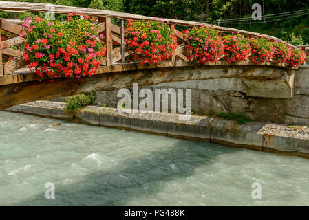 view of wooden bridge over Lys river covered with blossoming geranium flowers, shot on a bright summer day at Gressoney Saint Jean,  Lys valley, Aosta