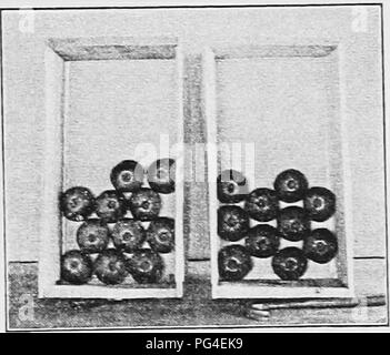 . Modern fruit marketing : a complete treatise covering harvesting, packing, storing, transporting and selling of fruit . Fruit trade. a—One tier. b—One layer. Fig. 57. number of apples in the length, of these rows. Most places where box packs are nsed a table for calculating the number of fruit in a box has been worked out. The one following is typical of most of these tables. Altogether, for both the standard and special box, there are 60 different arrange- ments of packs. The table given includes only about 25 of the 7 b more common. New Fig. 58. CrransrementS can be <=—3-3. Offset pack, Stock Photo