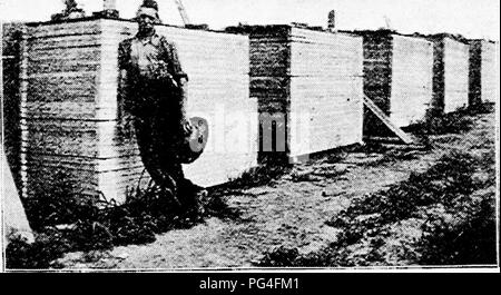 . Dreer's vegetables under glass : a little handbook telling how to till the soil during twelve months of the year. Vegetables; Cold-frames. 14 dreer's vegetables under glass. This picture shows how Mr. Davis' sashes are stored for the summer. They are neatly piled up against one of the fences or wind breaks by which his '' boxes '' are surrounded, and are covered with lids (shutters) or boards as a protection against wind and hail.. SUMMER STORAGE OF .SASHES. Worthy of More Attention. The cold frame is worthy of much wider attention than it to-day enjoys. It is suited to the needs of the farm Stock Photo