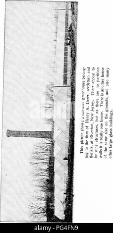 . Dreer's vegetables under glass : a little handbook telling how to till the soil during twelve months of the year. Vegetables; Cold-frames. . Please note that these images are extracted from scanned page images that may have been digitally enhanced for readability - coloration and appearance of these illustrations may not perfectly resemble the original work.. Dreer, Henry A. Philadelphia : Henry A. Dreer, Incorporated Stock Photo