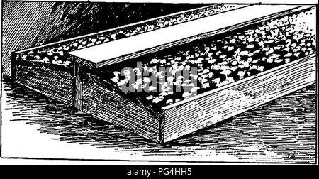 . Mushrooms : how to grow them : a practical treatise on mushroom culture for profit and pleasure . Mushrooms. 44 MUSHROOMS, HOW TO GROW THEM. changes of atmospheric temperature and moisture, and to drying out. In midwinter they may be all right, but as spring advances and the sun's brightness and heat increase, the susceptibility of the beds to become dry also increases. In Frames in the Greenhouses Mr. J. G. Gard- ner has a range of greenhouses some 900 feet long—the longest unbroken string of glasshouses that I know of— for the forcing of fruit and vegetables in winter; grapes, peaches, nec Stock Photo